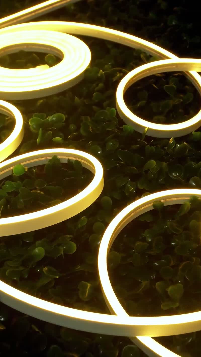Fita LED Neon Flexível Mangueira 5 Metros