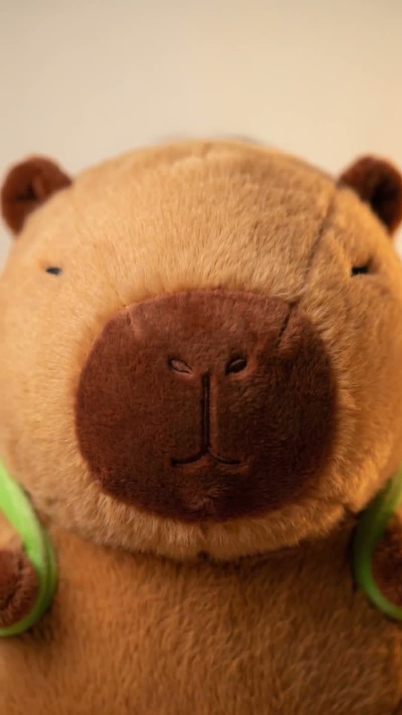 Pelúcia Capivara Filó com Casco de Tartaruga Antialérgica 23cm
